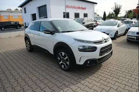 Annonce CITROEN C4 Essence 2019 d'occasion 