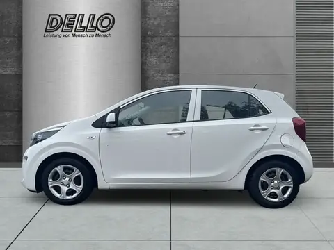 Annonce KIA PICANTO Essence 2021 d'occasion 