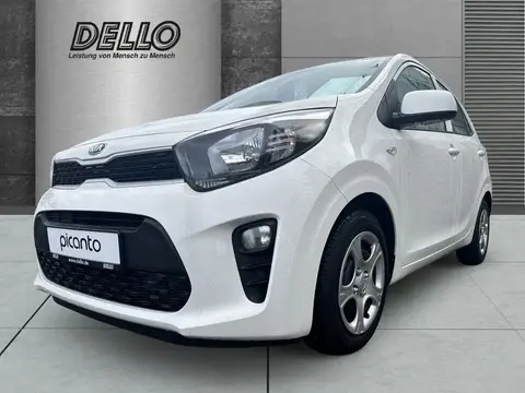 Used KIA PICANTO Petrol 2021 Ad 