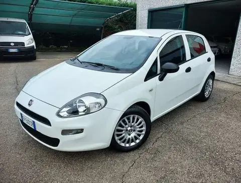 Annonce FIAT PUNTO Diesel 2018 d'occasion 