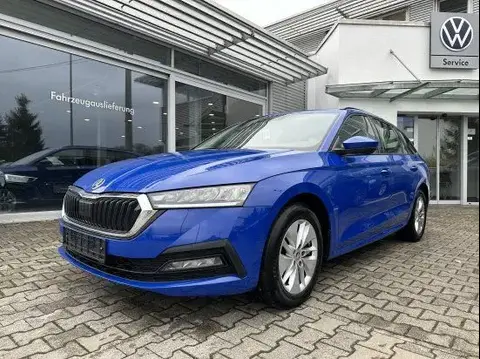 Annonce SKODA OCTAVIA Diesel 2020 d'occasion 