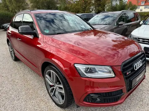 Annonce AUDI SQ5 Diesel 2016 d'occasion 