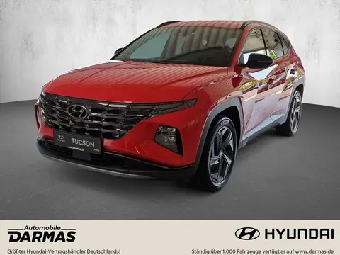 Annonce HYUNDAI TUCSON Hybride 2024 d'occasion 