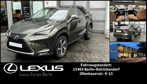 Used LEXUS NX Hybrid 2021 Ad 