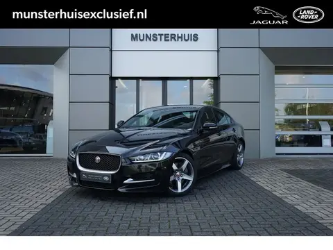 Used JAGUAR XE Petrol 2019 Ad 