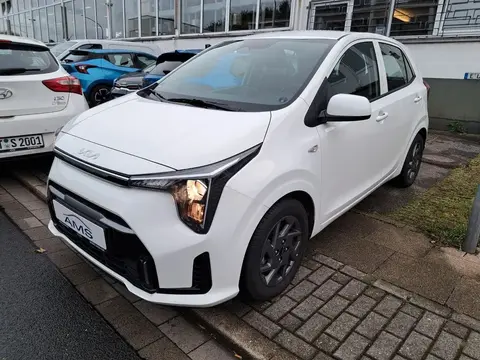 Used KIA PICANTO Petrol 2024 Ad 