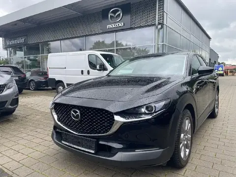 Annonce MAZDA CX-30 Essence 2021 d'occasion 