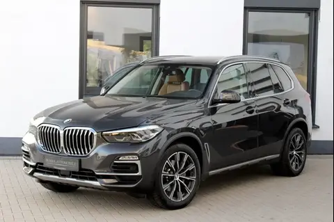 Used BMW X5 Diesel 2019 Ad 