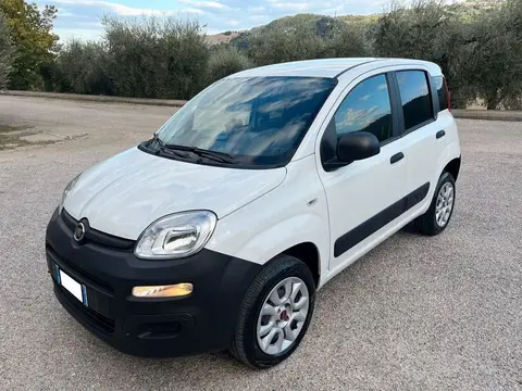 Used FIAT PANDA Petrol 2020 Ad 