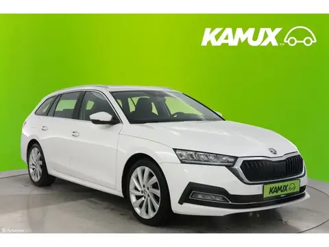 Used SKODA OCTAVIA Diesel 2020 Ad 