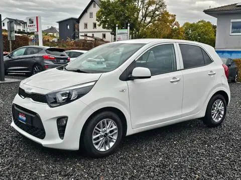 Annonce KIA PICANTO Essence 2023 d'occasion 