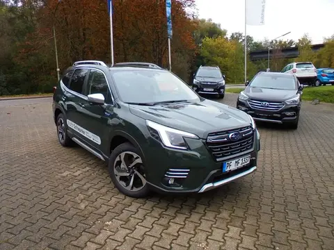 Annonce SUBARU FORESTER Essence 2024 d'occasion 