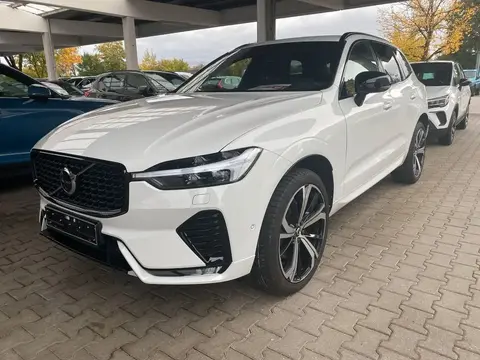 Annonce VOLVO XC60 Diesel 2021 d'occasion 