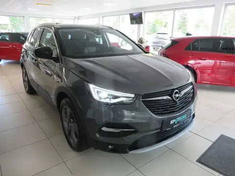 Used OPEL GRANDLAND Hybrid 2021 Ad 