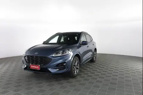 Annonce FORD KUGA Hybride 2023 d'occasion 