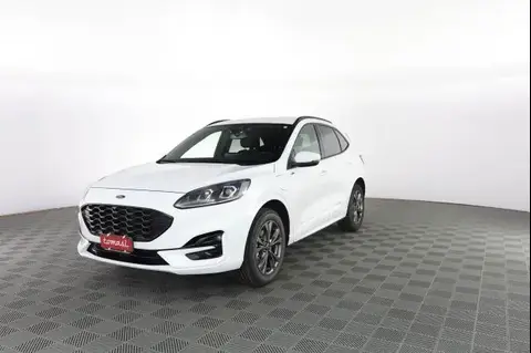 Annonce FORD KUGA Hybride 2023 d'occasion 