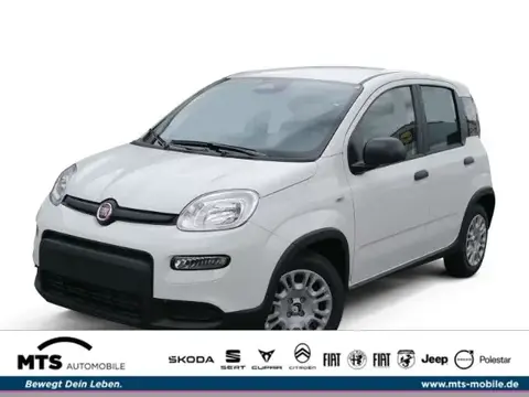 Used FIAT PANDA Petrol 2024 Ad 