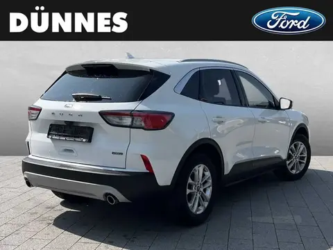 Annonce FORD KUGA Essence 2021 d'occasion 