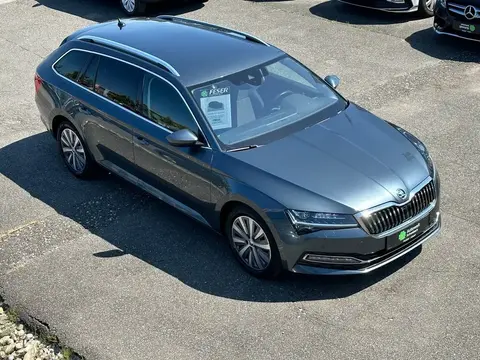 Used SKODA SUPERB Diesel 2021 Ad 