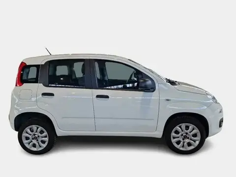 Annonce FIAT PANDA  2020 d'occasion 