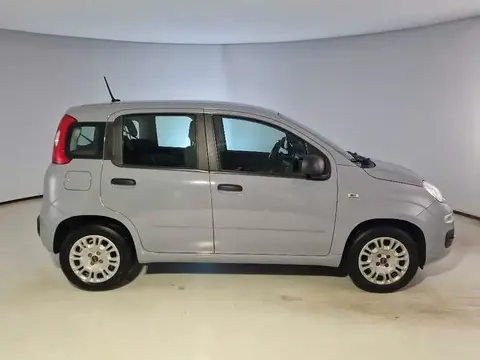 Used FIAT PANDA Petrol 2020 Ad 