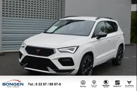 Annonce CUPRA ATECA Essence 2024 d'occasion 