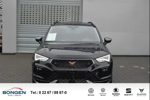 Annonce CUPRA ATECA Essence 2024 d'occasion 