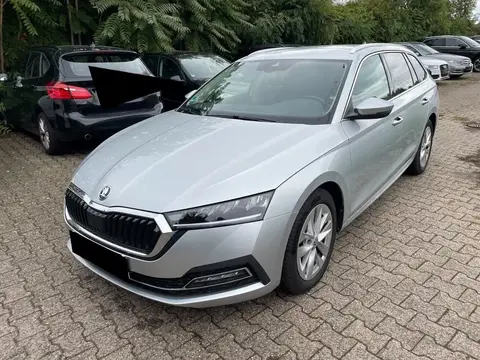 Annonce SKODA OCTAVIA Diesel 2020 d'occasion 