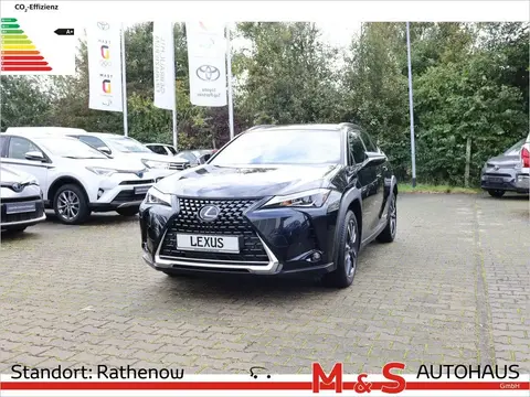 Used LEXUS UX Hybrid 2022 Ad 