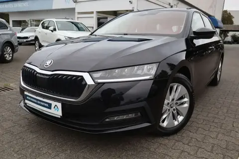 Used SKODA OCTAVIA Diesel 2020 Ad 