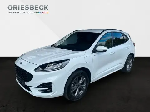 Used FORD KUGA Hybrid 2021 Ad 