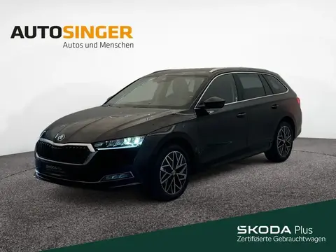 Annonce SKODA OCTAVIA Diesel 2024 d'occasion 