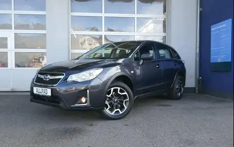 Used SUBARU XV Petrol 2017 Ad 