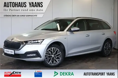 Annonce SKODA OCTAVIA Diesel 2021 d'occasion 