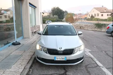 Annonce SKODA OCTAVIA Diesel 2019 d'occasion 