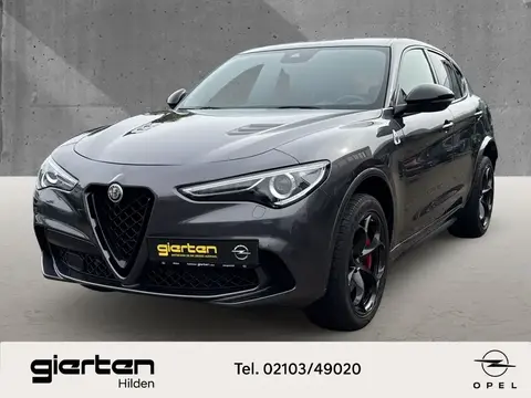 Annonce ALFA ROMEO STELVIO Essence 2024 d'occasion 