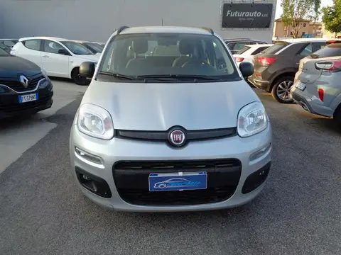 Annonce FIAT PANDA Hybride 2021 d'occasion 