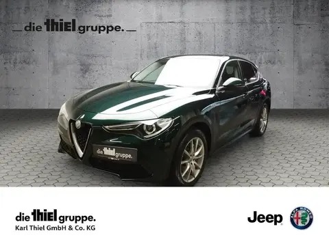 Used ALFA ROMEO STELVIO Diesel 2020 Ad 