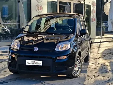 Used FIAT PANDA Hybrid 2023 Ad 