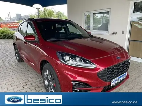 Used FORD KUGA Hybrid 2024 Ad 