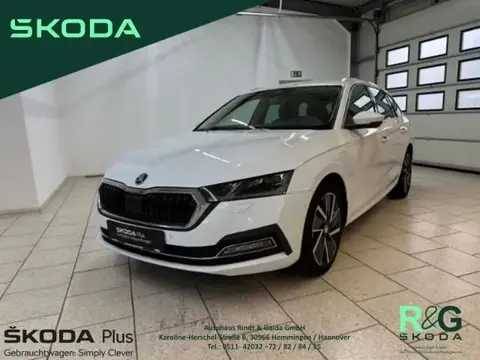 Used SKODA OCTAVIA Hybrid 2021 Ad 