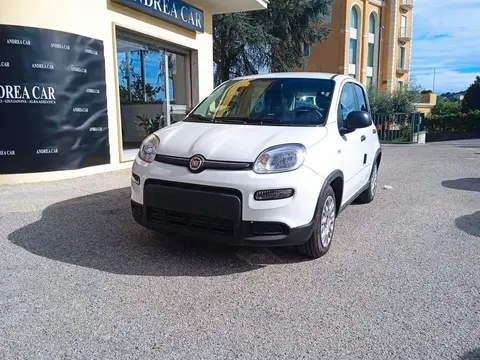 Used FIAT PANDA Hybrid 2023 Ad 