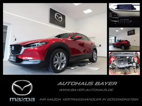 Annonce MAZDA CX-30 Essence 2021 d'occasion 