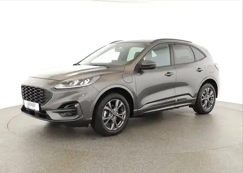 Used FORD KUGA Hybrid 2022 Ad 