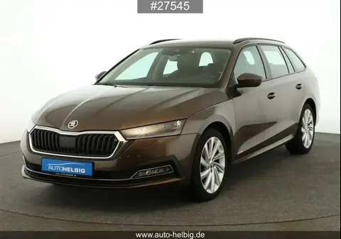 Annonce SKODA OCTAVIA Diesel 2021 d'occasion 