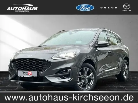 Annonce FORD KUGA Hybride 2023 d'occasion 