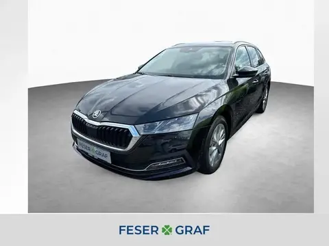 Annonce SKODA OCTAVIA Diesel 2023 d'occasion 