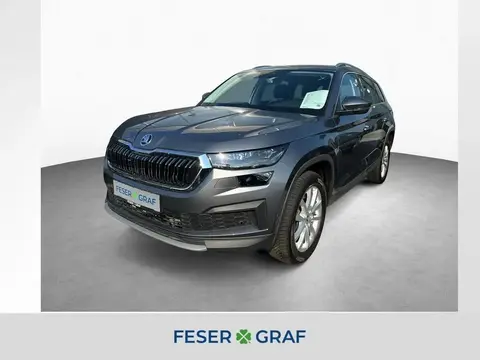 Used SKODA KODIAQ Diesel 2023 Ad 