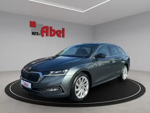 Annonce SKODA OCTAVIA Diesel 2020 d'occasion 