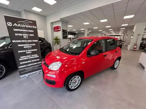 Annonce FIAT PANDA Essence 2019 d'occasion 